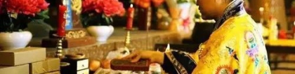 可提炼红花素和葡萄糖
