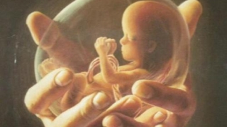 什么是灵婴？为什么要超度灵婴