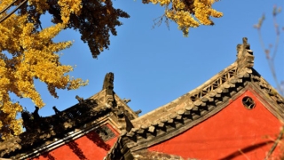 道家超度秘法超度婴灵有用吗