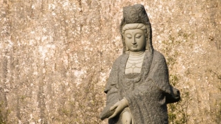 灵婴超度误区几个月打胎才没有婴灵