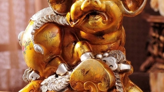 一个人没有财运怎么办