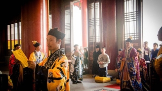 姻缘爱情和合术 帮化解你这只单身狗的烦恼