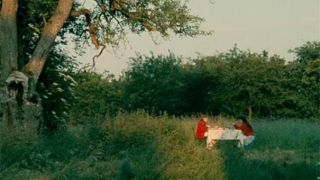 道家科仪提前过吗？来看看道家科仪的流程