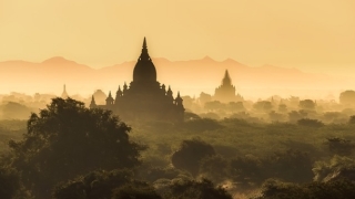 流产后不渡亡英灵会来找吗,会有婴灵来报复干扰亲身父母的生活