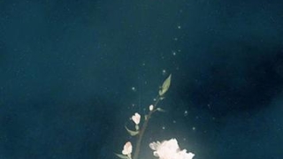 堕胎婴灵念什么经 ， 堕胎后基本都会分手