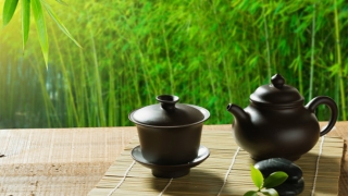 转运竹的作用 除了美化环境 还有这么一种作用