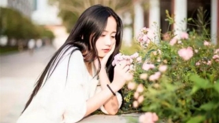 桃木剑 斩烂桃花 教你怎么处理纠缠你的烂桃花