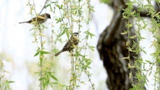 做梦连连做噩梦,知道原因之后,才能化解一直噩梦连连
