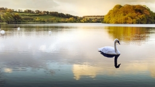 灵婴复仇事件,有婴灵纠缠需要赶紧化解亡灵