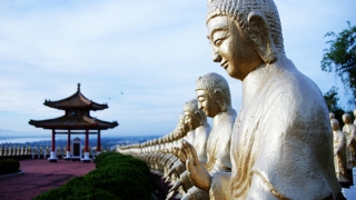 关于带来好运的吉祥物,建议这样选择