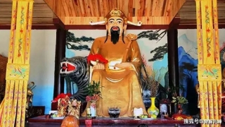 熟记这几种放生方法 平时的时候可以多多的积累