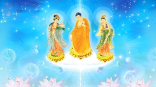 如何向观音菩萨求姻缘