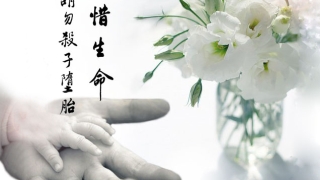 身上有杀生债的表现 ， 堕胎后婴灵究竟去了哪