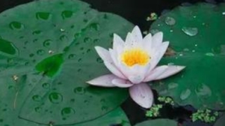 打胎以后事事不顺，还常常生病