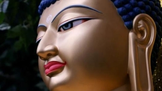 超度的功德和意义：对去世多年已投胎者仍利益很大