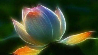 让你堕胎的男人会倒霉,他们会受到报应