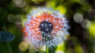 还完阴债第二天一直睡这是还阴债超度的表现