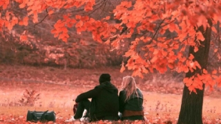 打胎报应男方还是女方，作为父母都应该有责任