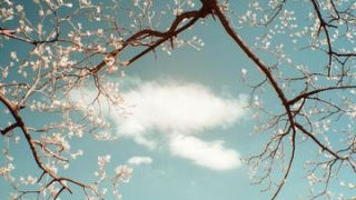 婴灵报复兄弟姐妹吗 ， 广州哪里超度婴灵效果好