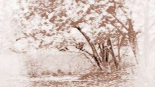 招正桃花运的方法