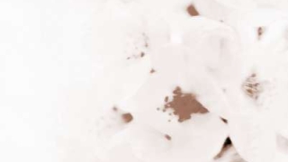 招桃花运的民间方法大全