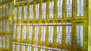 给老人超度成功后托梦 , 坠胎的孩子照片