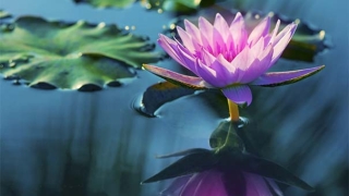 帮助去世之人超度,让亡灵尽快解脱