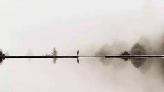 女的命占三个财库,一生家财万贯