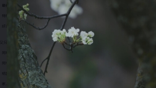 坏事缠身,女生佩戴什么辟邪保平安,原来竟是这物