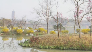 孕六个月晚上噩梦连连,可能是因为婴灵在纠缠所导致